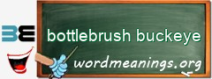 WordMeaning blackboard for bottlebrush buckeye